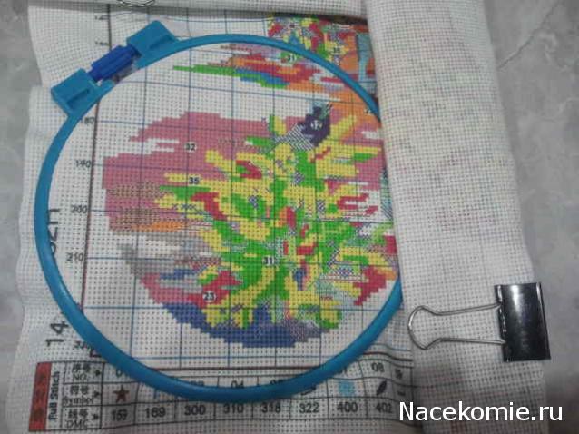 100 крестиков!