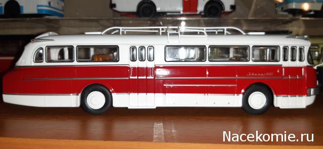 Наши Автобусы №6 - Икарус-66