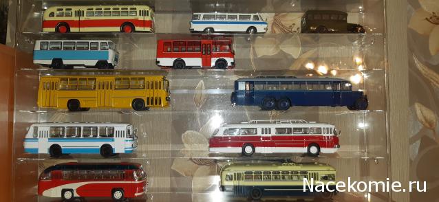 Наши Автобусы №6 - Икарус-66