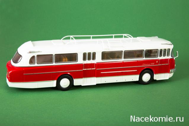 Наши Автобусы №6 - Икарус-66