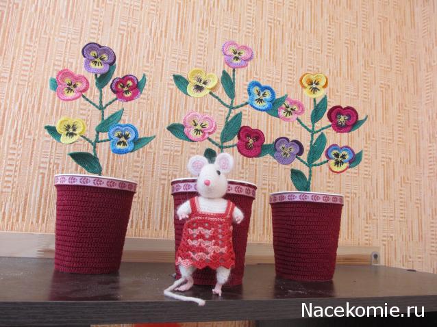 Margaritka. Гасиенда Каса де лос Суэньос