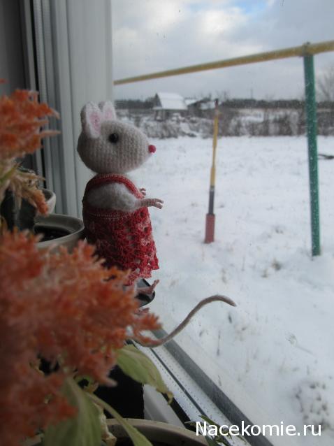 Margaritka. Гасиенда Каса де лос Суэньос