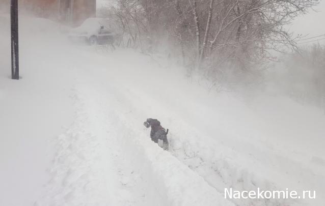 Тракторная болталка