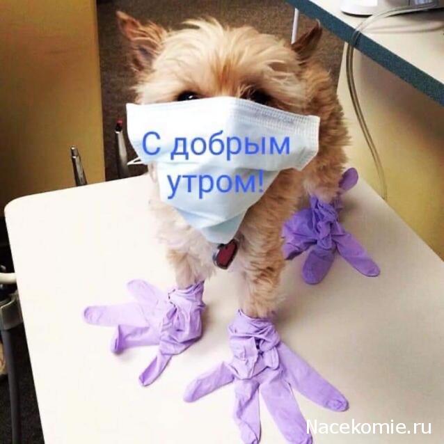 Тракторная болталка