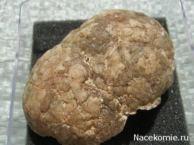 Минералы №3 - Жеода