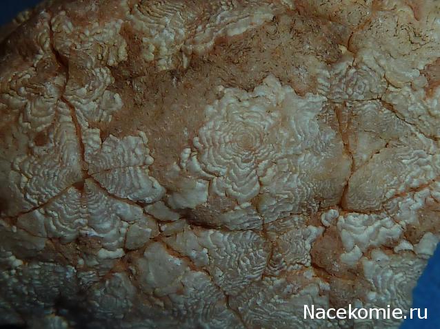 Минералы №3 - Жеода