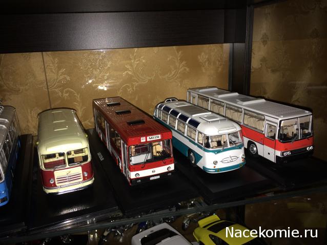 Опрос коллекционера