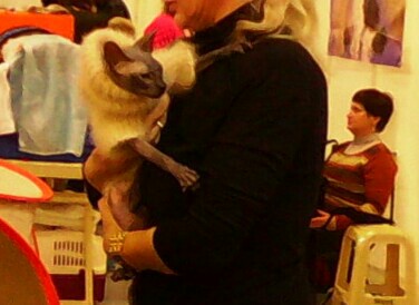 "Живой уголок"