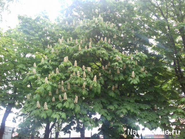 "Живой уголок"