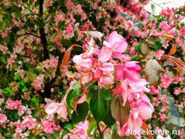 Мой любимый город или дорогие сердцу места