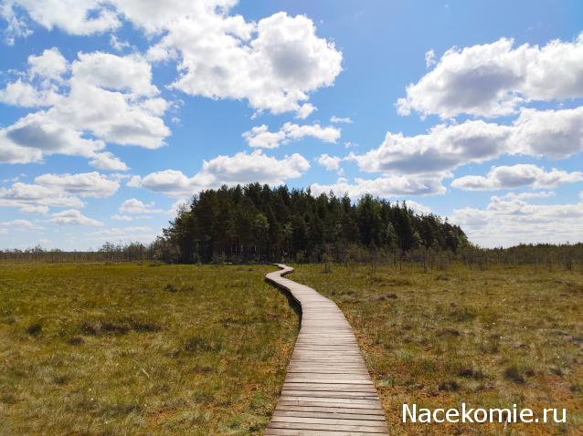 Мой любимый город или дорогие сердцу места