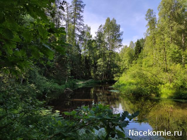 Мой любимый город или дорогие сердцу места