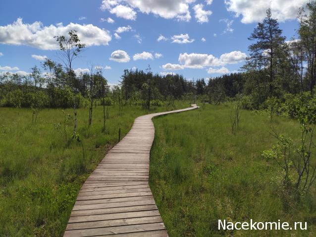 Мой любимый город или дорогие сердцу места