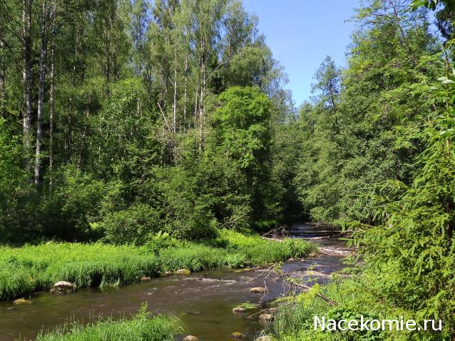 Мой любимый город или дорогие сердцу места