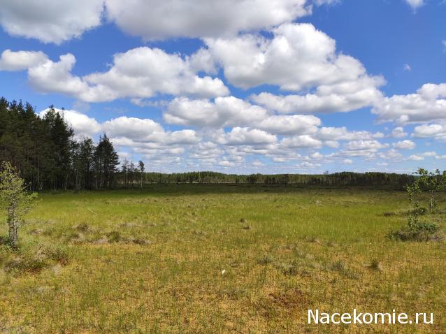 Мой любимый город или дорогие сердцу места