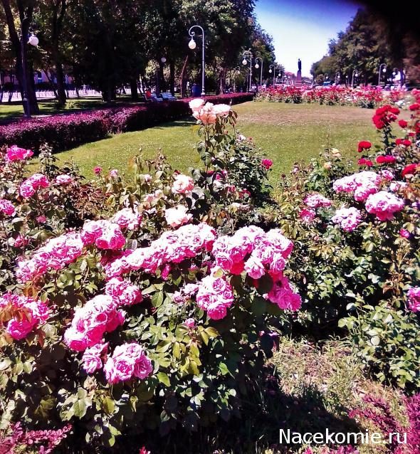 Мой любимый город или дорогие сердцу места