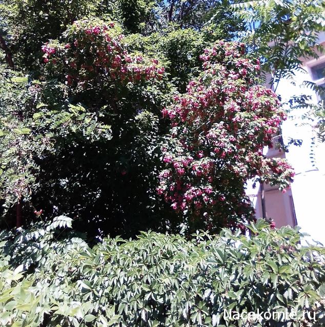 Мой любимый город или дорогие сердцу места