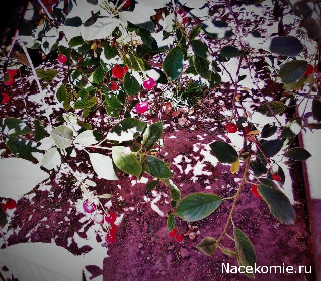 Мой любимый город или дорогие сердцу места