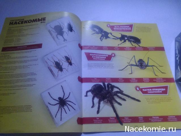 Насекомые & Ко - Спецвыпуск