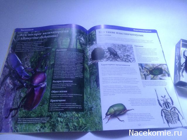 Насекомые & Ко - Спецвыпуск