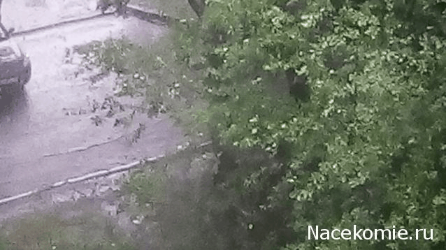 "Живой уголок"