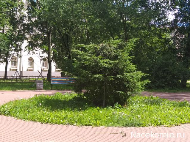 "Живой уголок"