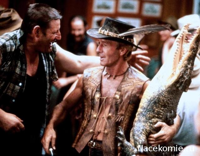 Кинозал автолюбителей