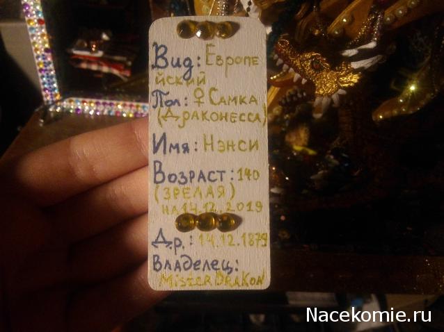 MisterDrakon - Дом "Золотой Дракон" для Драконьих Самок: Бейзил, Лада, Сапфира, Джессика, Сису.