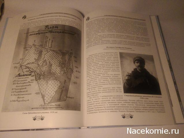 MisterDrakon - Дом "Золотой Дракон" для Драконьих Самок: Бейзил, Лада, Сапфира, Джессика, Сису.