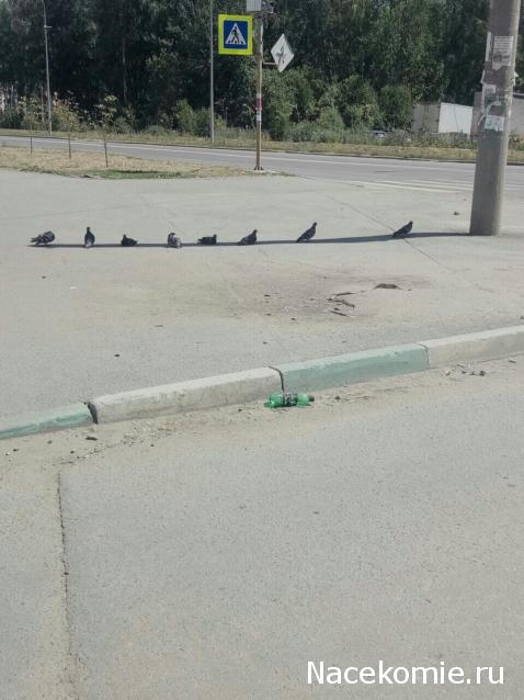 "Живой уголок"