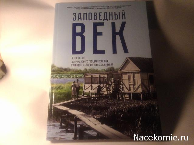 MisterDrakon - Дом "Золотой Дракон" для Драконьих Самок: Бейзил, Лада, Сапфира, Джессика, Сису.
