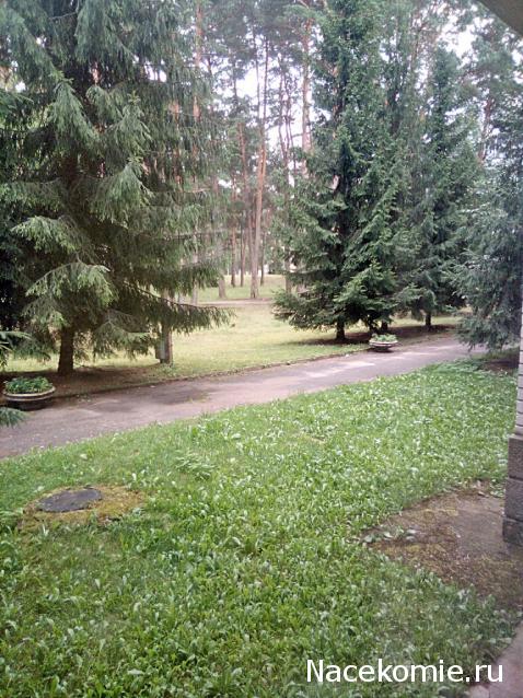 "Живой уголок"