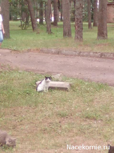 "Живой уголок"
