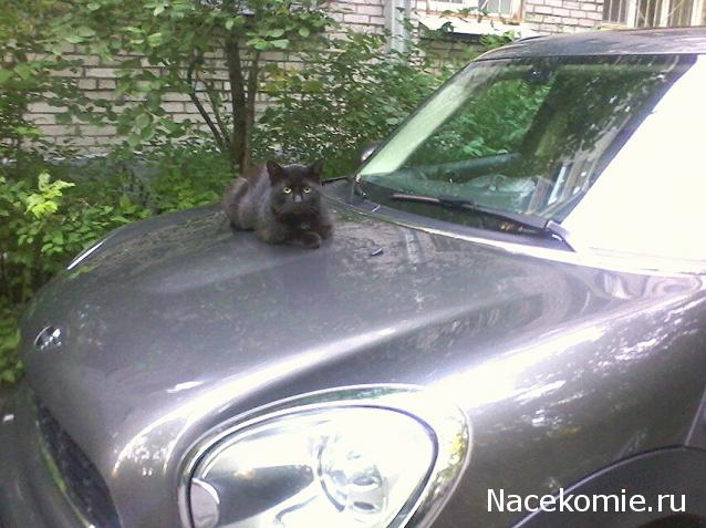 "Живой уголок"