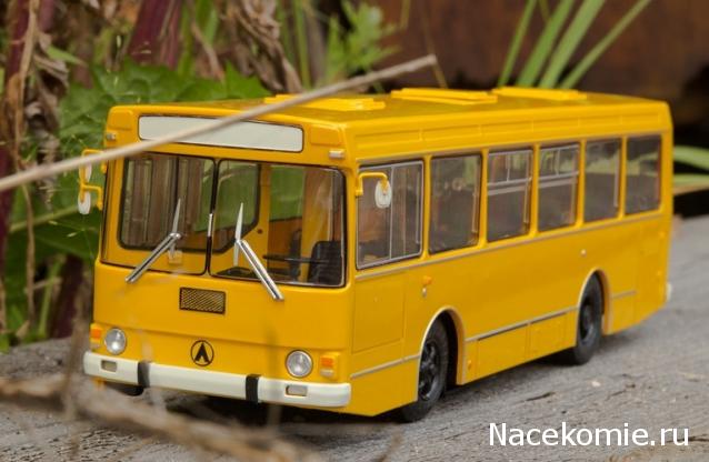 Наши Автобусы №12 - ЛАЗ-4202