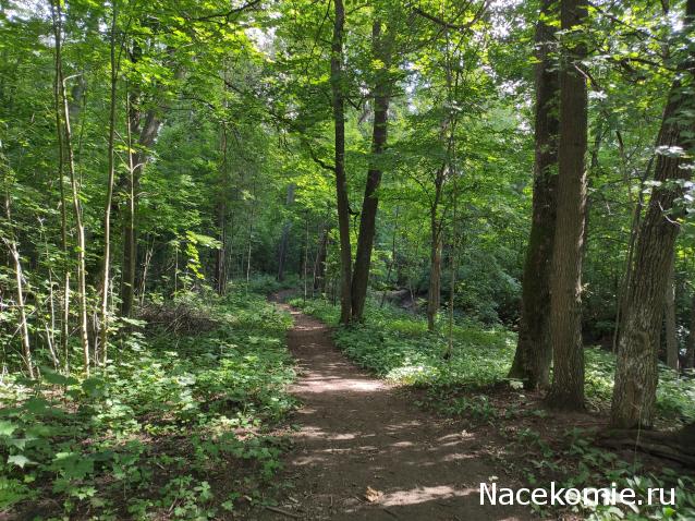 Мой любимый город или дорогие сердцу места