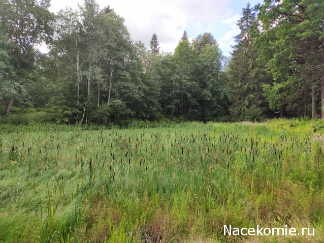 Мой любимый город или дорогие сердцу места