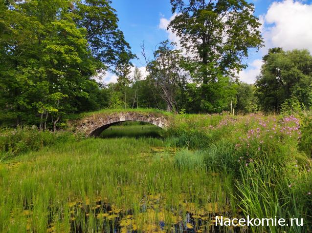 Мой любимый город или дорогие сердцу места
