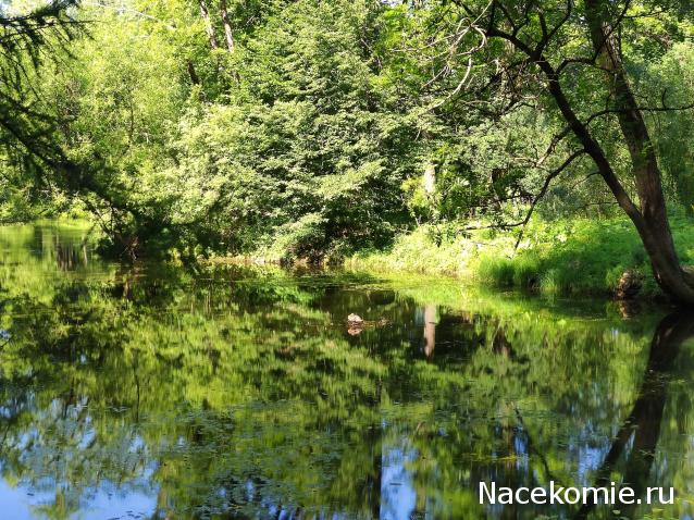 Мой любимый город или дорогие сердцу места