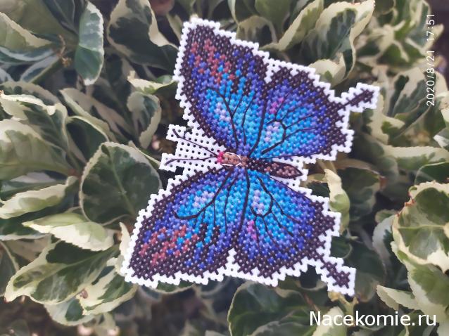 100 крестиков!