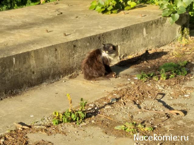 "Живой уголок"