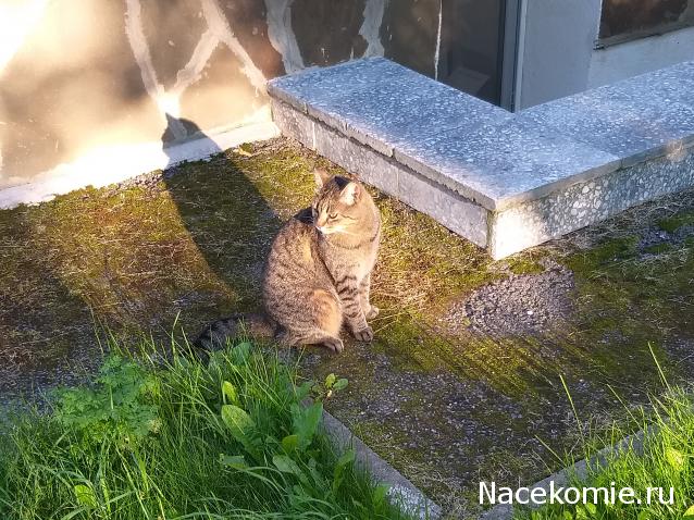 "Живой уголок"