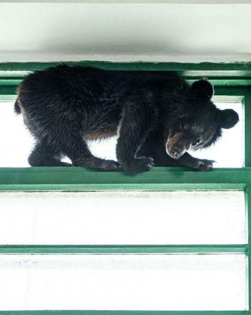 Мой любимый город или дорогие сердцу места