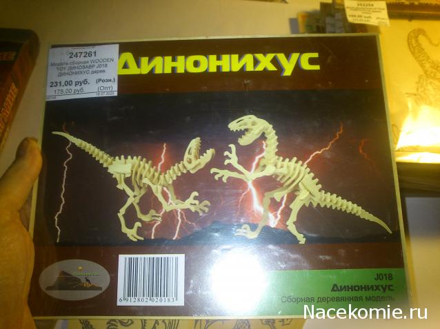 MisterDrakon - Дом "Золотой Дракон" для Драконьих Самок: Бейзил, Лада, Сапфира, Джессика, Сису.