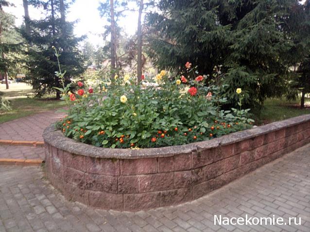 "Живой уголок"