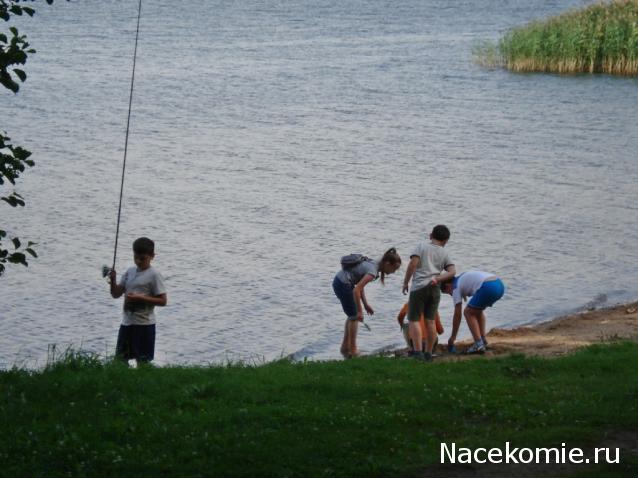 "Живой уголок"