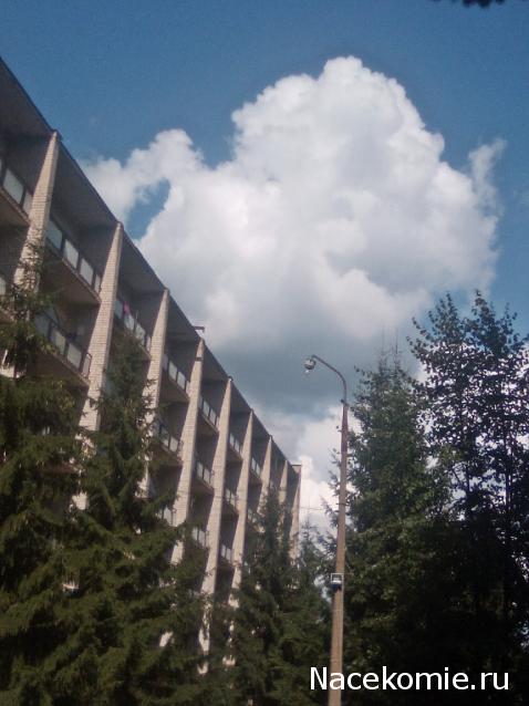 "Живой уголок"