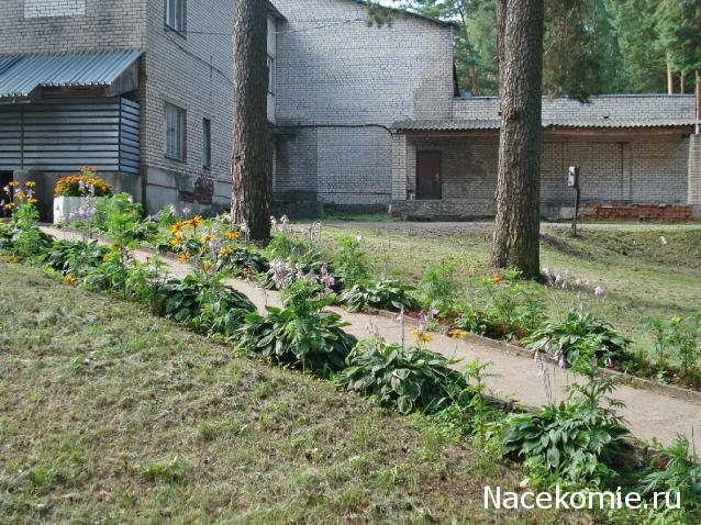 "Живой уголок"