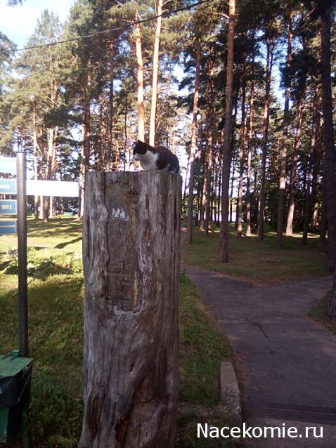 "Живой уголок"