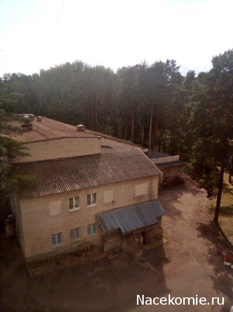 "Живой уголок"